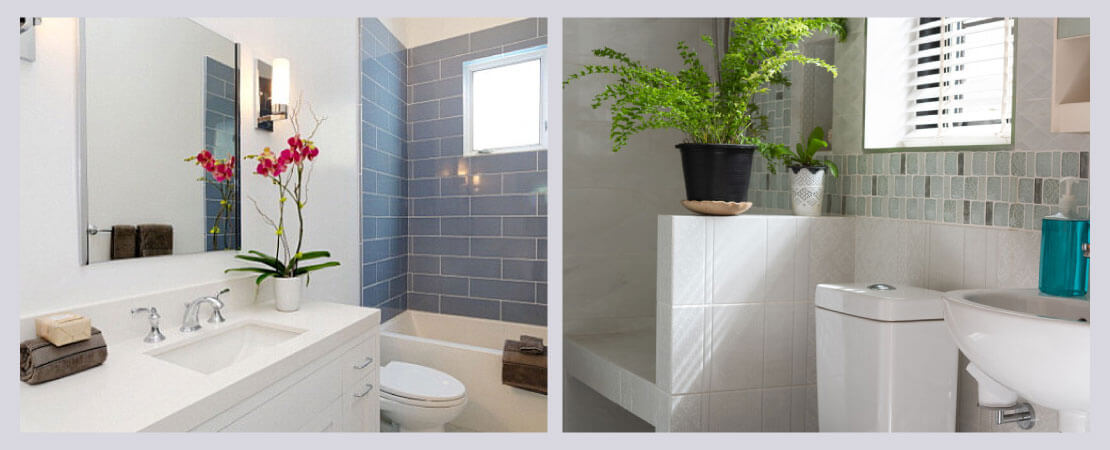 Indoor plants in bathroom will help reduce foul odour.