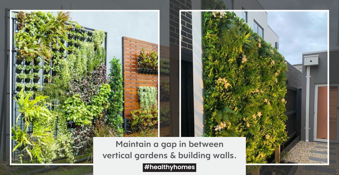 Maintain a gap in between vertical gardens & building walls to avoid potential chances of moisture intrusion/ seepage.